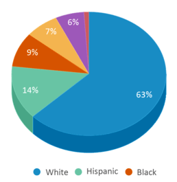 This chart displays the percentage breakdown of students of all ethnic groups in Oscar Howe Elementary - 58. This chart displays the percentage breakdown of students of all ethnic groups in Oscar Howe Elementary - 58.