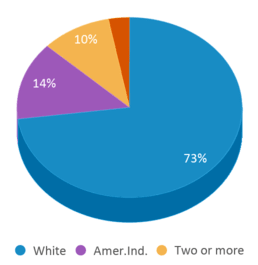 This chart displays the percentage breakdown of students of all ethnic groups in Wall Middle School - 06. This chart displays the percentage breakdown of students of all ethnic groups in Wall Middle School - 06.