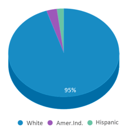 This chart displays the percentage breakdown of students of all ethnic groups in Willow Lake High School - 01. This chart displays the percentage breakdown of students of all ethnic groups in Willow Lake High School - 01.