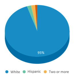 This chart displays the percentage breakdown of students of all ethnic groups in Valley Forge Elementary School. This chart displays the percentage breakdown of students of all ethnic groups in Valley Forge Elementary School.