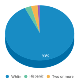 This chart displays the percentage breakdown of students of all ethnic groups in Rogersville Middle School. This chart displays the percentage breakdown of students of all ethnic groups in Rogersville Middle School.