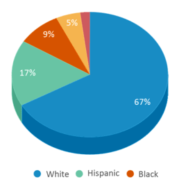This chart displays the percentage breakdown of students of all ethnic groups in Powell High School. This chart displays the percentage breakdown of students of all ethnic groups in Powell High School.