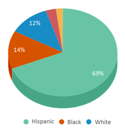 This chart displays the percentage breakdown of students of all ethnic groups in Glencliff Elementary School. This chart displays the percentage breakdown of students of all ethnic groups in Glencliff Elementary School.