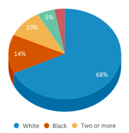 This chart displays the percentage breakdown of students of all ethnic groups in Paris Elementary School. This chart displays the percentage breakdown of students of all ethnic groups in Paris Elementary School.