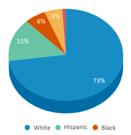 This chart displays the percentage breakdown of students of all ethnic groups in Southside Elementary School. This chart displays the percentage breakdown of students of all ethnic groups in Southside Elementary School.