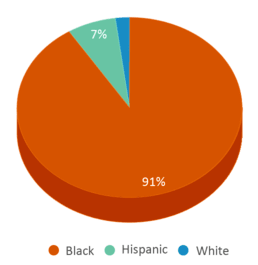 This chart displays the percentage breakdown of students of all ethnic groups in Texas Academy Of Excellence. This chart displays the percentage breakdown of students of all ethnic groups in Texas Academy Of Excellence.