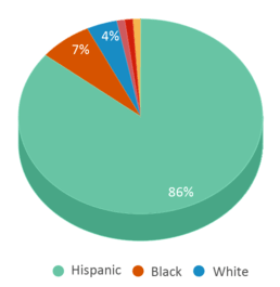This chart displays the percentage breakdown of students of all ethnic groups in Crow Leadership Academy. This chart displays the percentage breakdown of students of all ethnic groups in Crow Leadership Academy.