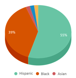 This chart displays the percentage breakdown of students of all ethnic groups in Harry Stone Montessori Academy. This chart displays the percentage breakdown of students of all ethnic groups in Harry Stone Montessori Academy.