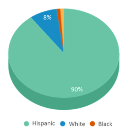 This chart displays the percentage breakdown of students of all ethnic groups in Lauro Cavazos Elementary School. This chart displays the percentage breakdown of students of all ethnic groups in Lauro Cavazos Elementary School.