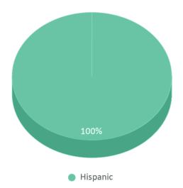 This chart displays the percentage breakdown of students of all ethnic groups in Roosevelt Elementary School. This chart displays the percentage breakdown of students of all ethnic groups in Roosevelt Elementary School.