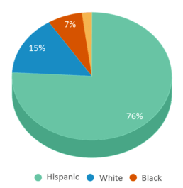 This chart displays the percentage breakdown of students of all ethnic groups in Hazel Ingram Elementary School. This chart displays the percentage breakdown of students of all ethnic groups in Hazel Ingram Elementary School.