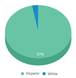 This chart displays the percentage breakdown of students of all ethnic groups in Lamar Elementary School. This chart displays the percentage breakdown of students of all ethnic groups in Lamar Elementary School.