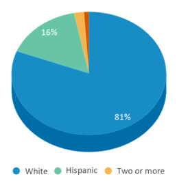 This chart displays the percentage breakdown of students of all ethnic groups in Harper Middle School. This chart displays the percentage breakdown of students of all ethnic groups in Harper Middle School.