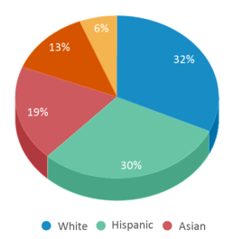 This chart displays the percentage breakdown of students of all ethnic groups in Lanier Middle School. This chart displays the percentage breakdown of students of all ethnic groups in Lanier Middle School.