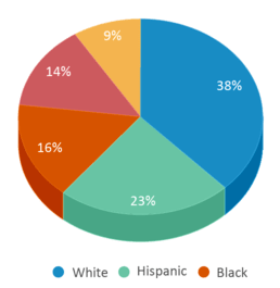 This chart displays the percentage breakdown of students of all ethnic groups in Twain Elementary School. This chart displays the percentage breakdown of students of all ethnic groups in Twain Elementary School.