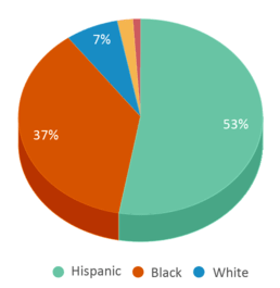 This chart displays the percentage breakdown of students of all ethnic groups in Walnut Bend Elementary School. This chart displays the percentage breakdown of students of all ethnic groups in Walnut Bend Elementary School.