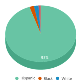 This chart displays the percentage breakdown of students of all ethnic groups in Eastwood Academy. This chart displays the percentage breakdown of students of all ethnic groups in Eastwood Academy.