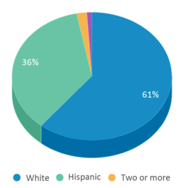 This chart displays the percentage breakdown of students of all ethnic groups in Hunt School. This chart displays the percentage breakdown of students of all ethnic groups in Hunt School.