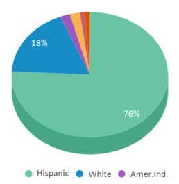 This chart displays the percentage breakdown of students of all ethnic groups in Gerber Elementary School. This chart displays the percentage breakdown of students of all ethnic groups in Gerber Elementary School.