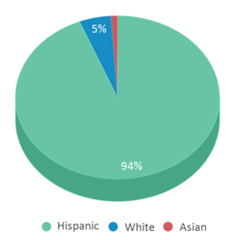 This chart displays the percentage breakdown of students of all ethnic groups in Shadybend Elementary School. This chart displays the percentage breakdown of students of all ethnic groups in Shadybend Elementary School.