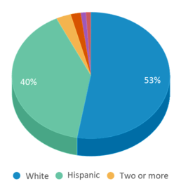 This chart displays the percentage breakdown of students of all ethnic groups in Dyer Elementary School. This chart displays the percentage breakdown of students of all ethnic groups in Dyer Elementary School.