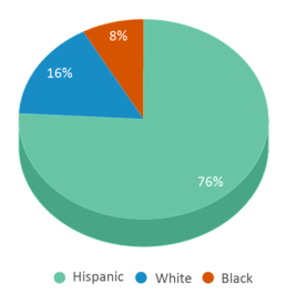 This chart displays the percentage breakdown of students of all ethnic groups in West Early Childhood Center. This chart displays the percentage breakdown of students of all ethnic groups in West Early Childhood Center.