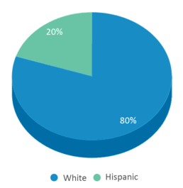 This chart displays the percentage breakdown of students of all ethnic groups in Mineral Wells Academy. This chart displays the percentage breakdown of students of all ethnic groups in Mineral Wells Academy.