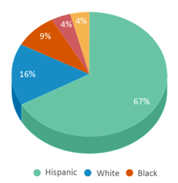 This chart displays the percentage breakdown of students of all ethnic groups in Evers Elementary School. This chart displays the percentage breakdown of students of all ethnic groups in Evers Elementary School.
