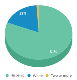 This chart displays the percentage breakdown of students of all ethnic groups in Odem High School. This chart displays the percentage breakdown of students of all ethnic groups in Odem High School.