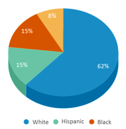This chart displays the percentage breakdown of students of all ethnic groups in Pewitt High School. This chart displays the percentage breakdown of students of all ethnic groups in Pewitt High School.