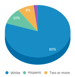 This chart displays the percentage breakdown of students of all ethnic groups in Pottsboro Elementary School. This chart displays the percentage breakdown of students of all ethnic groups in Pottsboro Elementary School.