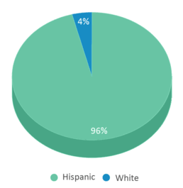 This chart displays the percentage breakdown of students of all ethnic groups in Premont Collegiate High School. This chart displays the percentage breakdown of students of all ethnic groups in Premont Collegiate High School.