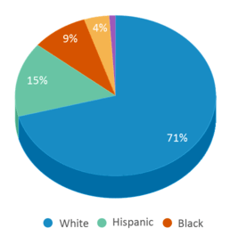 This chart displays the percentage breakdown of students of all ethnic groups in Roxton Isd. This chart displays the percentage breakdown of students of all ethnic groups in Roxton Isd.
