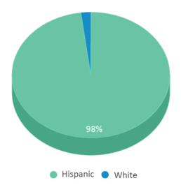 This chart displays the percentage breakdown of students of all ethnic groups in San Diego High School. This chart displays the percentage breakdown of students of all ethnic groups in San Diego High School.