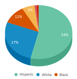 This chart displays the percentage breakdown of students of all ethnic groups in Selman Elementary School. This chart displays the percentage breakdown of students of all ethnic groups in Selman Elementary School.