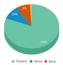 This chart displays the percentage breakdown of students of all ethnic groups in Visd Success Academy. This chart displays the percentage breakdown of students of all ethnic groups in Visd Success Academy.