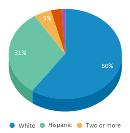 This chart displays the percentage breakdown of students of all ethnic groups in Tison Middle School. This chart displays the percentage breakdown of students of all ethnic groups in Tison Middle School.
