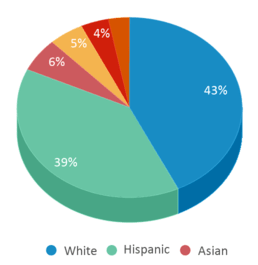 This chart displays the percentage breakdown of students of all ethnic groups in Silver Hills School. This chart displays the percentage breakdown of students of all ethnic groups in Silver Hills School.