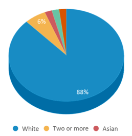 This chart displays the percentage breakdown of students of all ethnic groups in Shelburne Community School. This chart displays the percentage breakdown of students of all ethnic groups in Shelburne Community School.