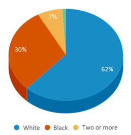 This chart displays the percentage breakdown of students of all ethnic groups in Bacon District Elementary School. This chart displays the percentage breakdown of students of all ethnic groups in Bacon District Elementary School.