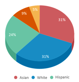 This chart displays the percentage breakdown of students of all ethnic groups in Centreville High School. This chart displays the percentage breakdown of students of all ethnic groups in Centreville High School.
