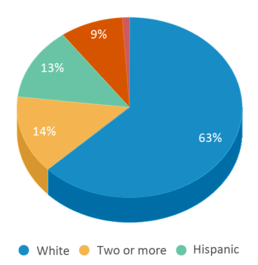 This chart displays the percentage breakdown of students of all ethnic groups in Sontag Elementary School. This chart displays the percentage breakdown of students of all ethnic groups in Sontag Elementary School.