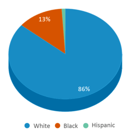 This chart displays the percentage breakdown of students of all ethnic groups in Virgilina Elementary School. This chart displays the percentage breakdown of students of all ethnic groups in Virgilina Elementary School.