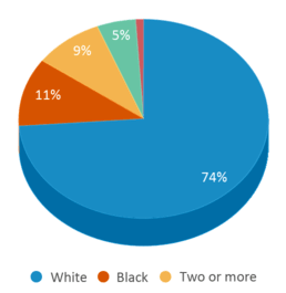 This chart displays the percentage breakdown of students of all ethnic groups in Radford High School. This chart displays the percentage breakdown of students of all ethnic groups in Radford High School.