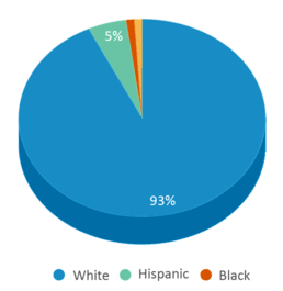 This chart displays the percentage breakdown of students of all ethnic groups in Rye Cove High School. This chart displays the percentage breakdown of students of all ethnic groups in Rye Cove High School.