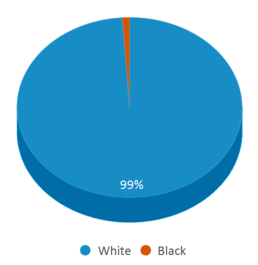 This chart displays the percentage breakdown of students of all ethnic groups in Aurora School. This chart displays the percentage breakdown of students of all ethnic groups in Aurora School.