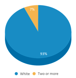 This chart displays the percentage breakdown of students of all ethnic groups in Jumping Branch Elementary School. This chart displays the percentage breakdown of students of all ethnic groups in Jumping Branch Elementary School.