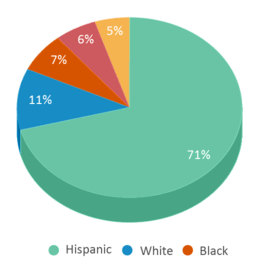 This chart displays the percentage breakdown of students of all ethnic groups in Berenece Carlson Home Hospital. This chart displays the percentage breakdown of students of all ethnic groups in Berenece Carlson Home Hospital.