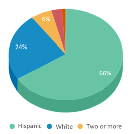 This chart displays the percentage breakdown of students of all ethnic groups in Grover Beach Elementary School. This chart displays the percentage breakdown of students of all ethnic groups in Grover Beach Elementary School.