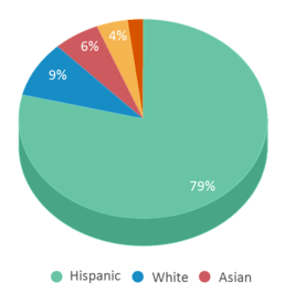 This chart displays the percentage breakdown of students of all ethnic groups in Lincoln Elementary School. This chart displays the percentage breakdown of students of all ethnic groups in Lincoln Elementary School.